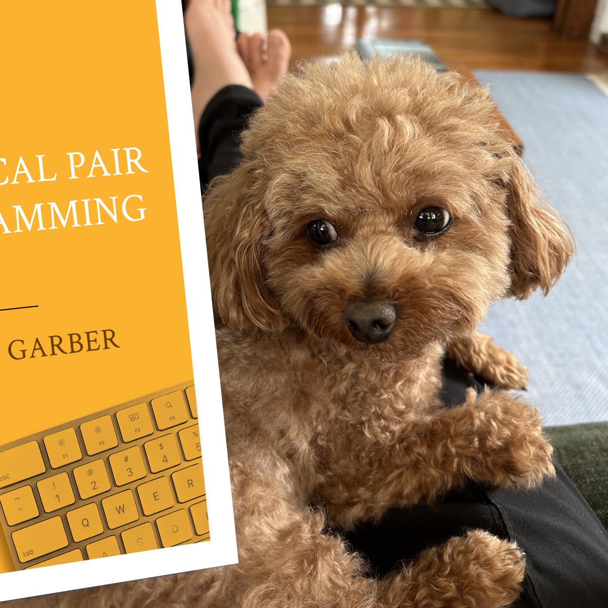 small dog and Practical Pair Programming book